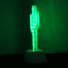 3D Cactus LED Infinity Lamp